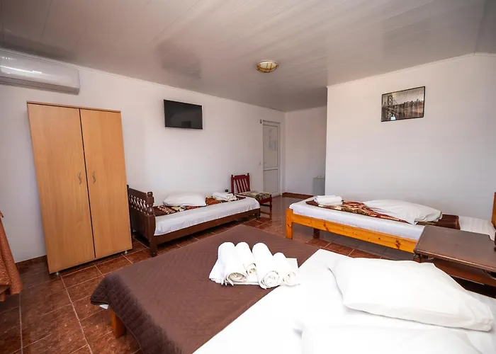 Anda * كوستِنيست