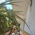 Anda Gazde/Camere de închiriat