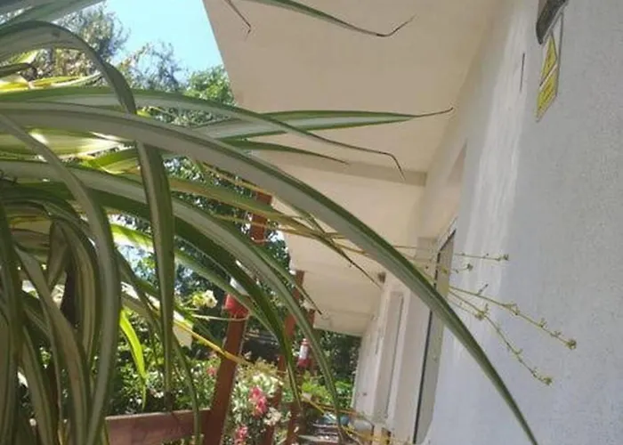 Anda Séjour chez l'habitant